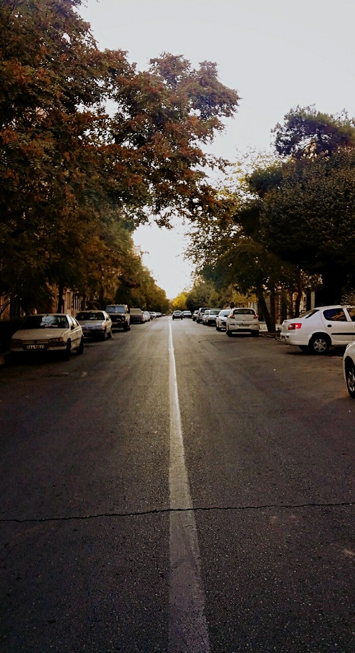 happy autumn