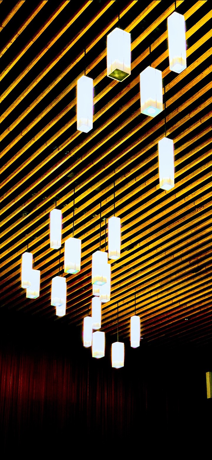 roof lights