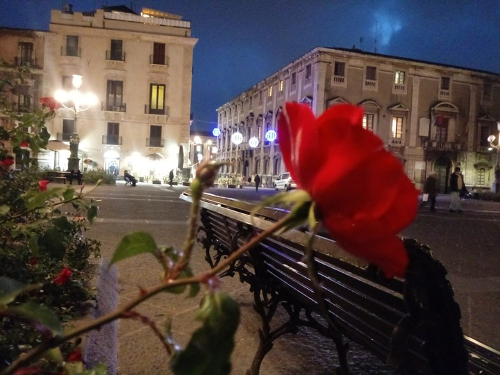 La Rosa