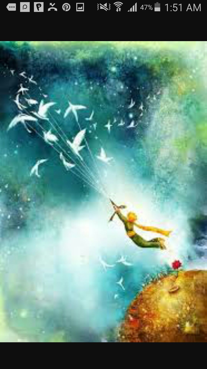never land