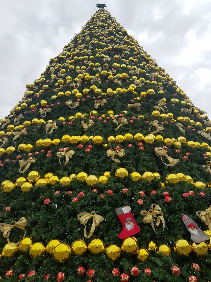 christmas tree