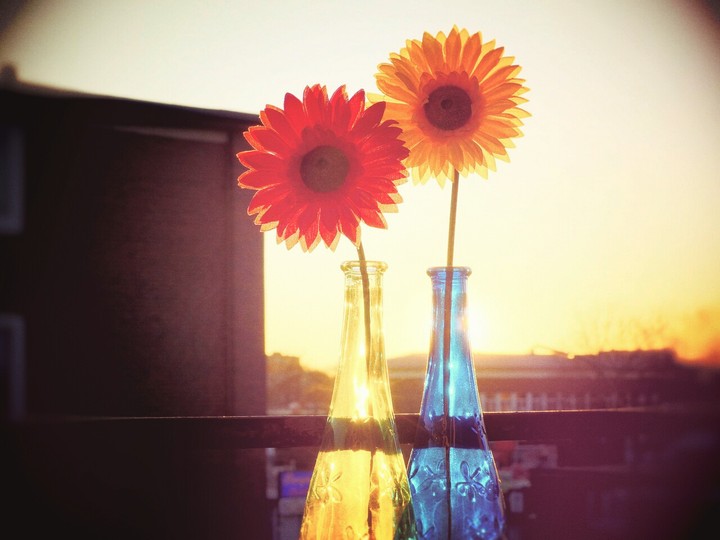 Like