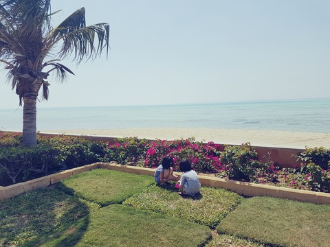 Flowers at the beach