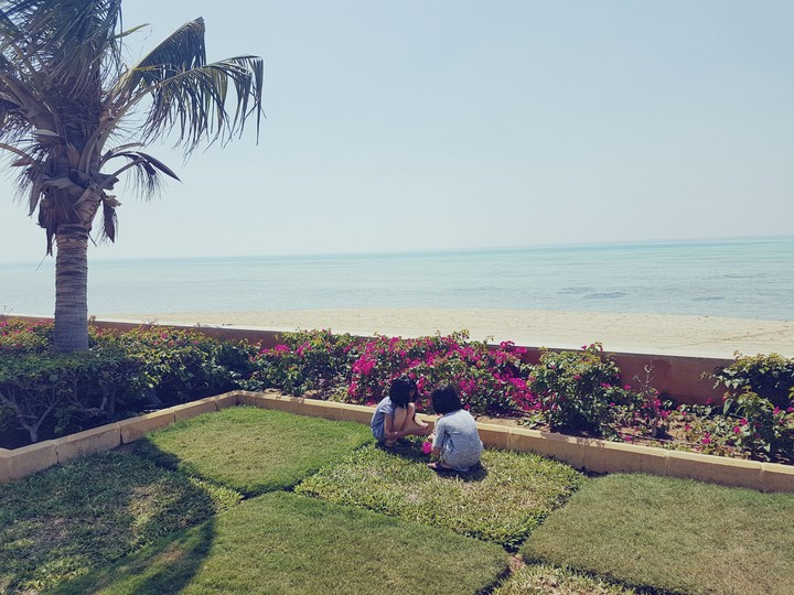 Flowers at the beach