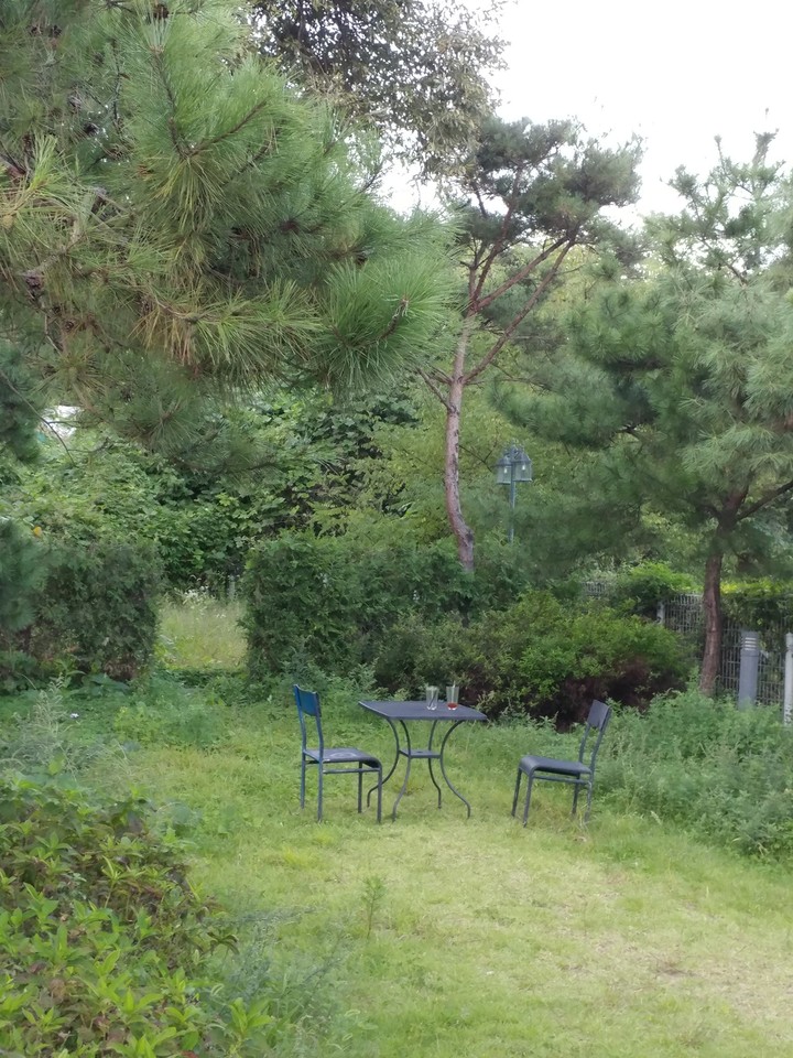 my favorite spot in the garden