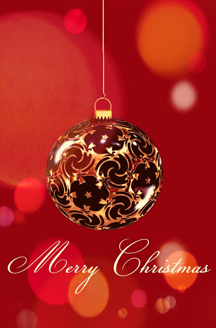 merry  christmas ❄