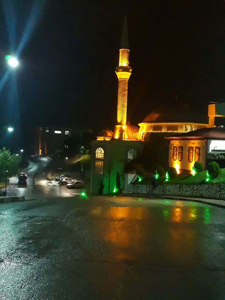 Bülent Ecevit Üniversitesi