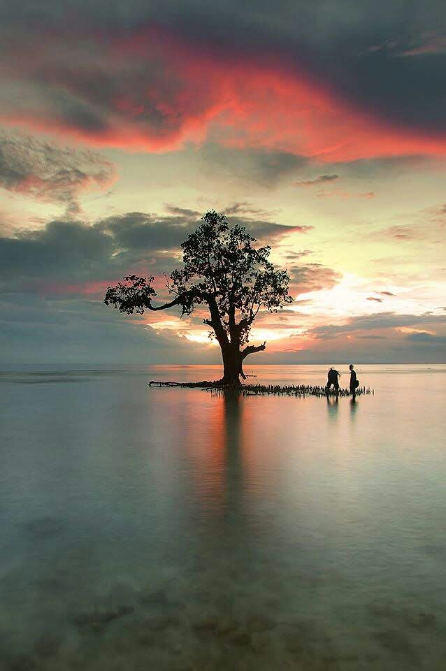 amazing
