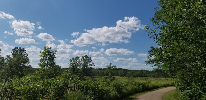 Sunny day