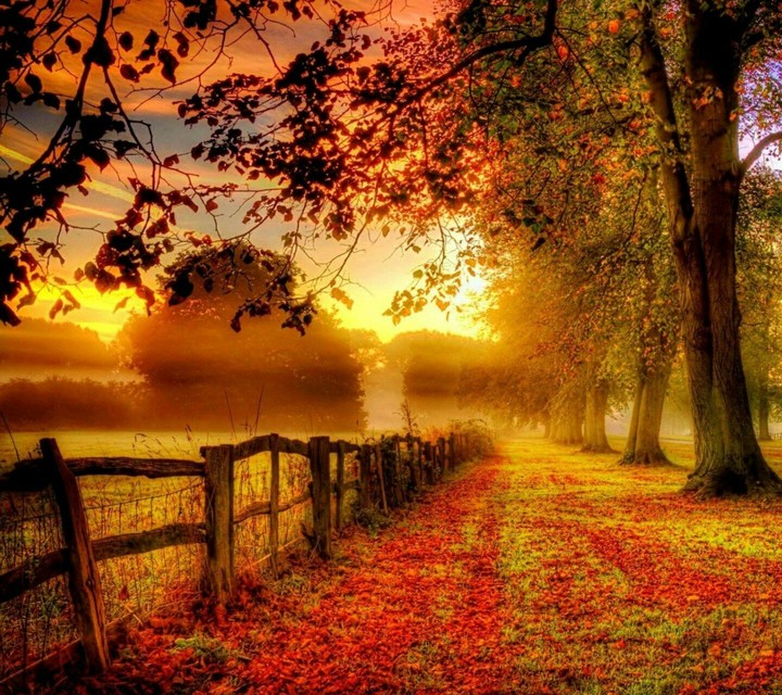 Road