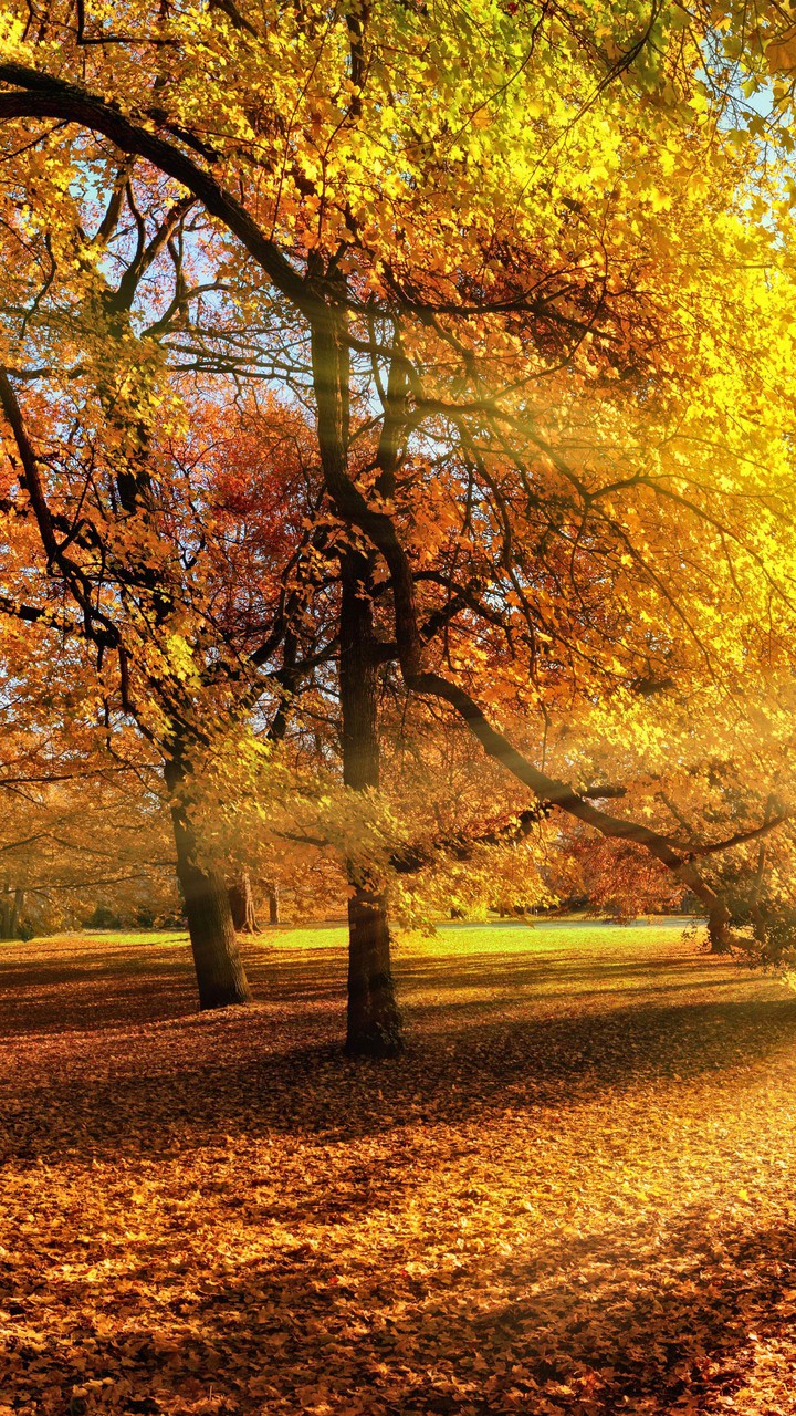So Much Yellow
