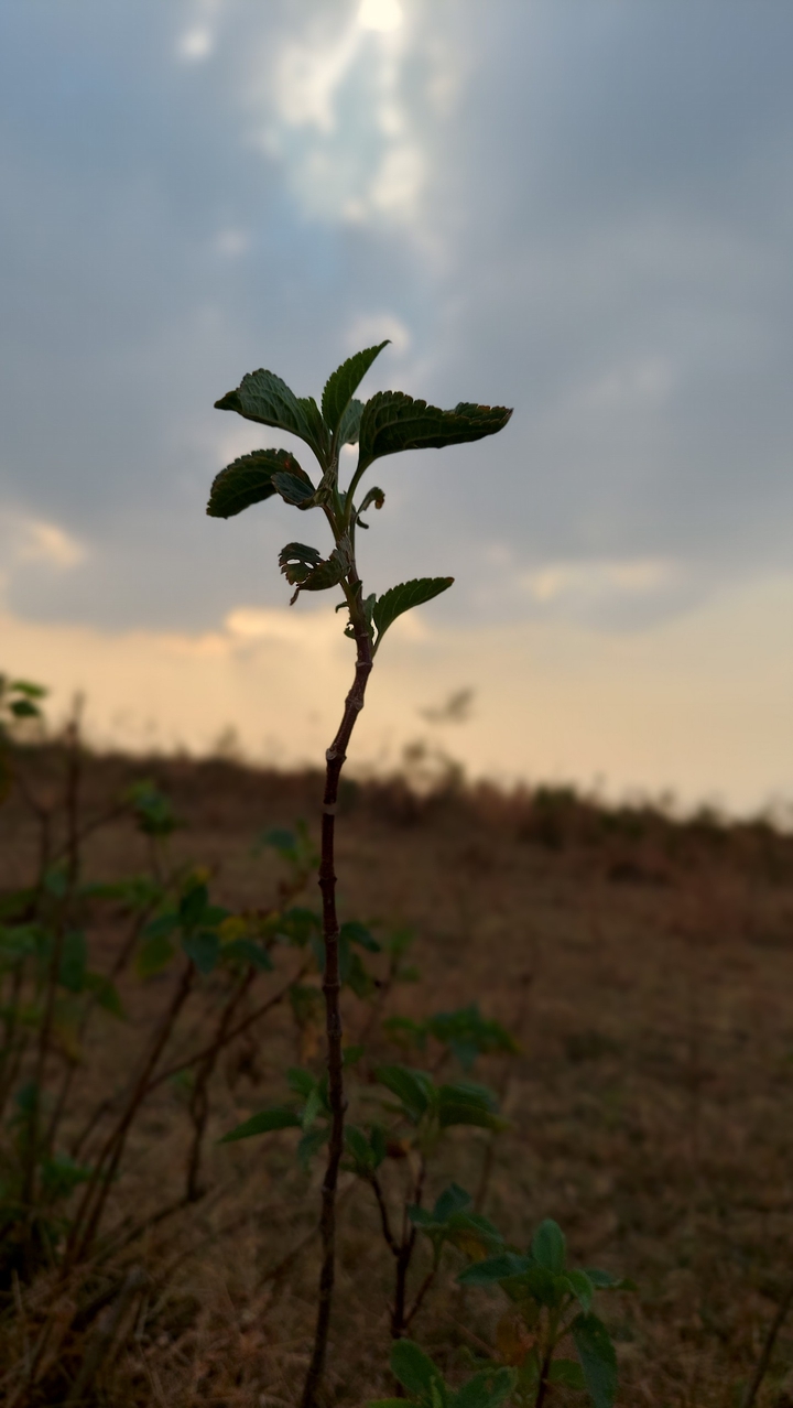 Nature  photography...