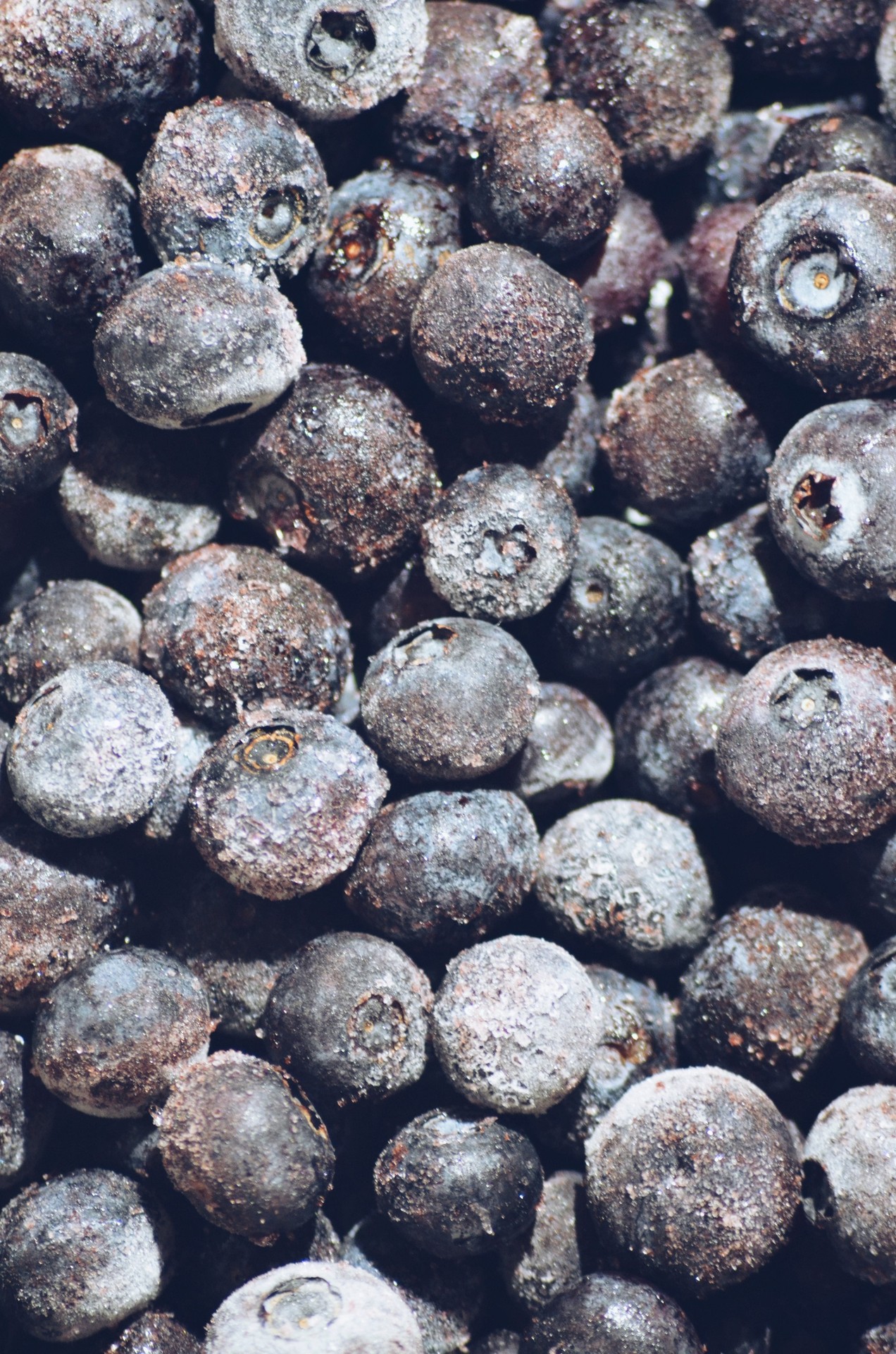 summer blueberries