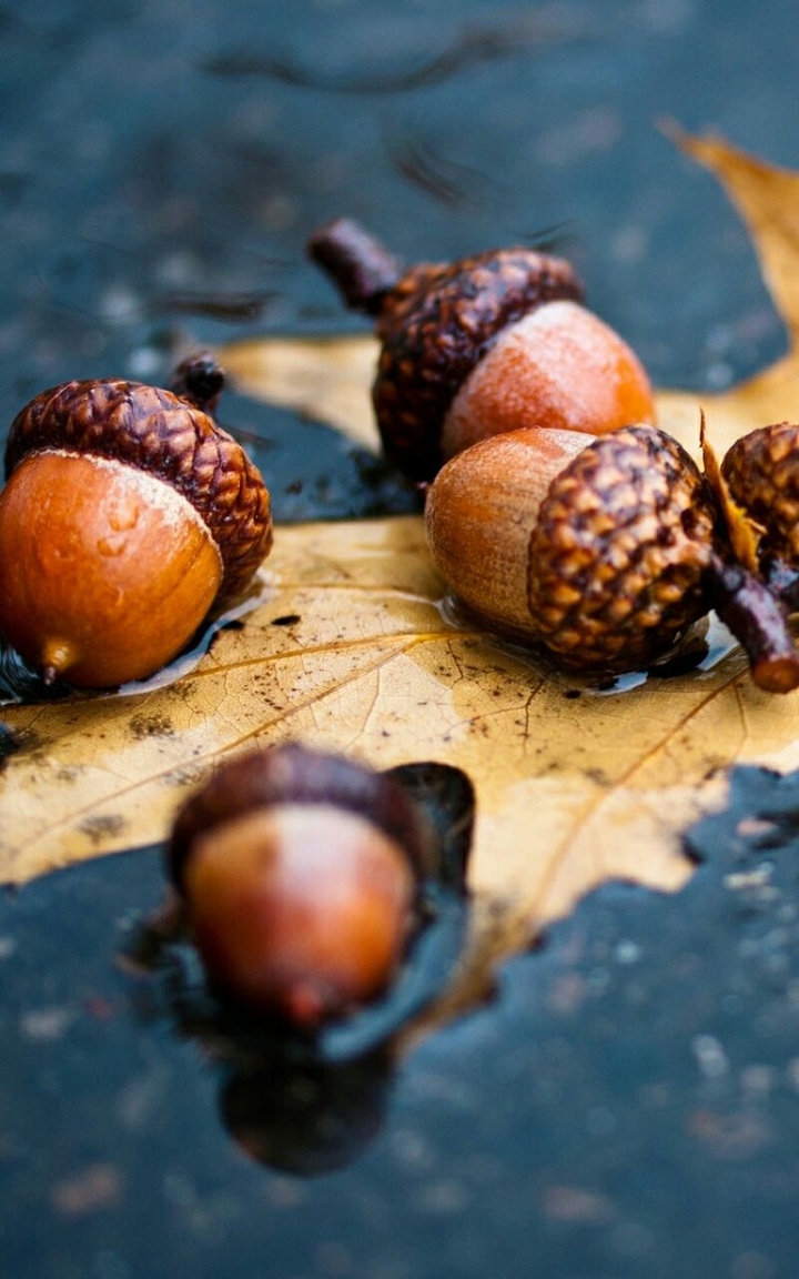 Nuts