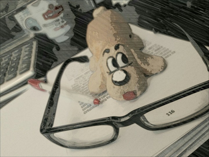 glasses and pet