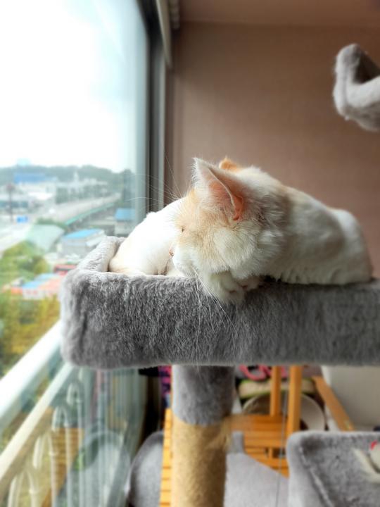 ㅎㅎㅎㅎㅍ