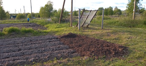 присвирье 31 мая 2021