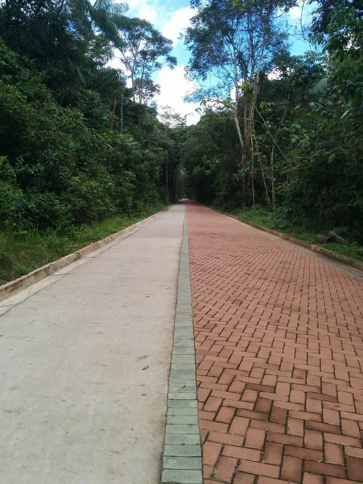 Utinga Park