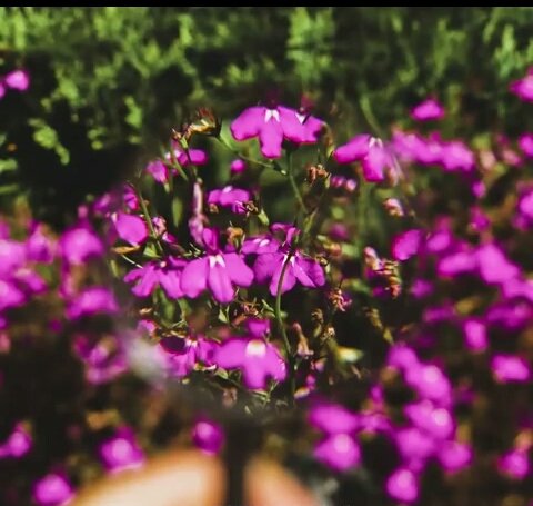 ☺