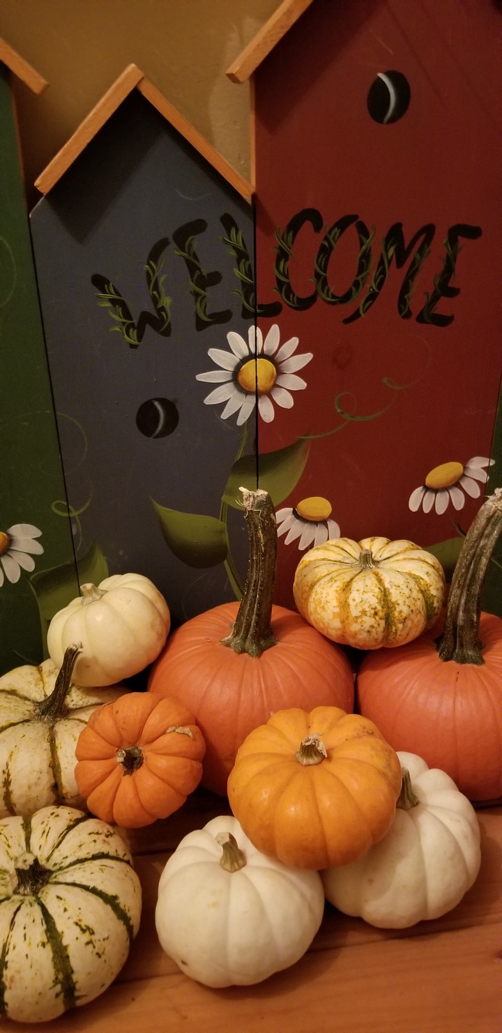 Welcome  Fall