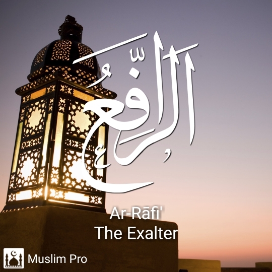 the exelter