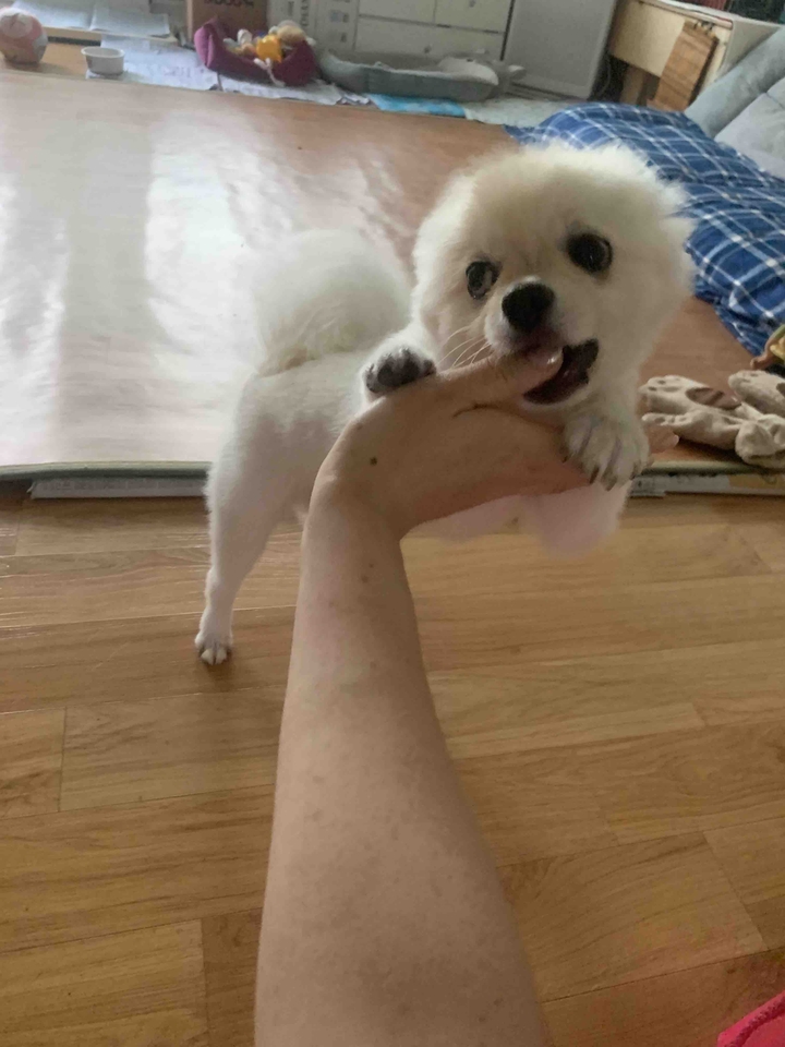 별이