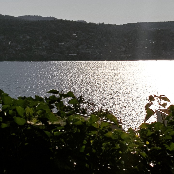 zürichsee