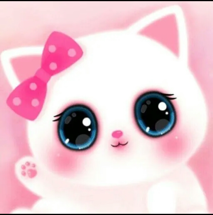 kitty ?