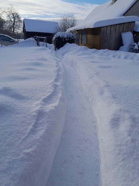 sfondi freezing, Home