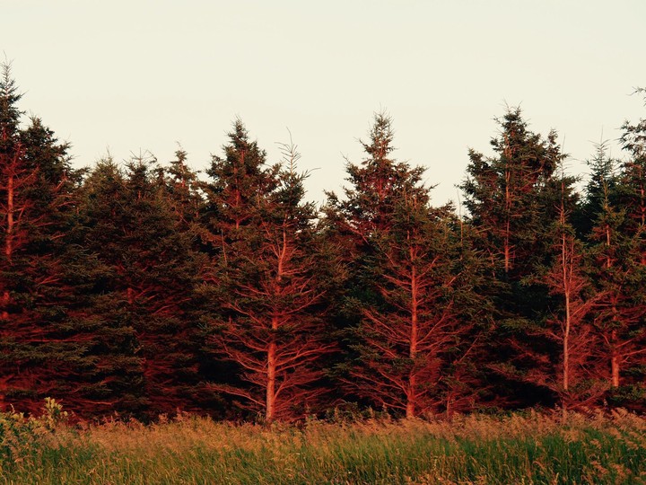 Prince Edward Island