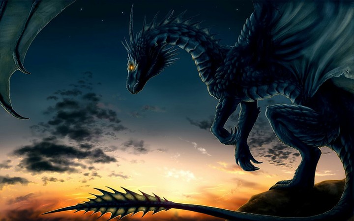 cooldragon