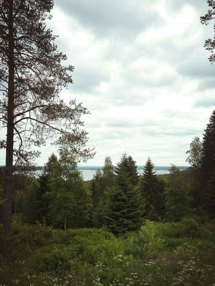 Solitude