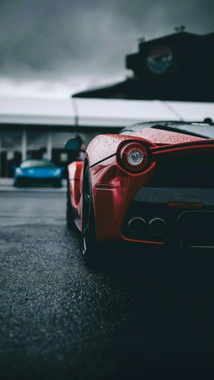 . ..