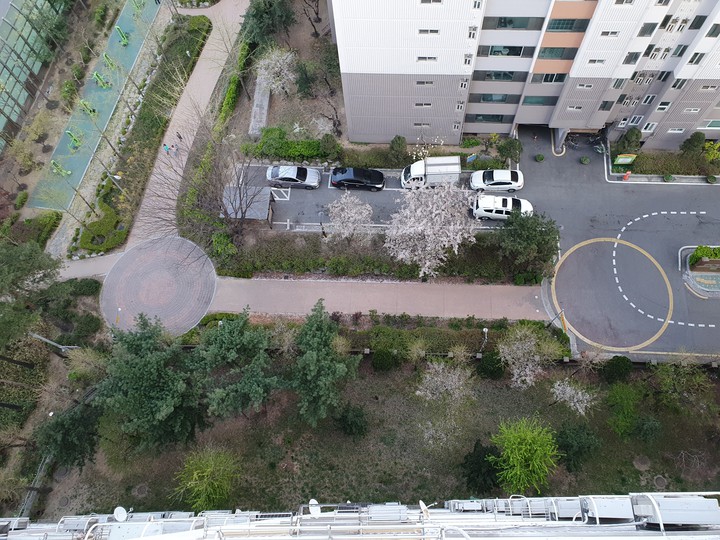 rooftop view
