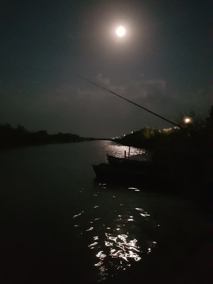 River boat in the moonlight