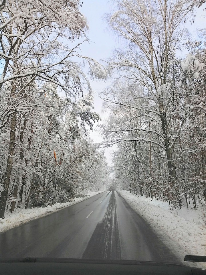 Snow