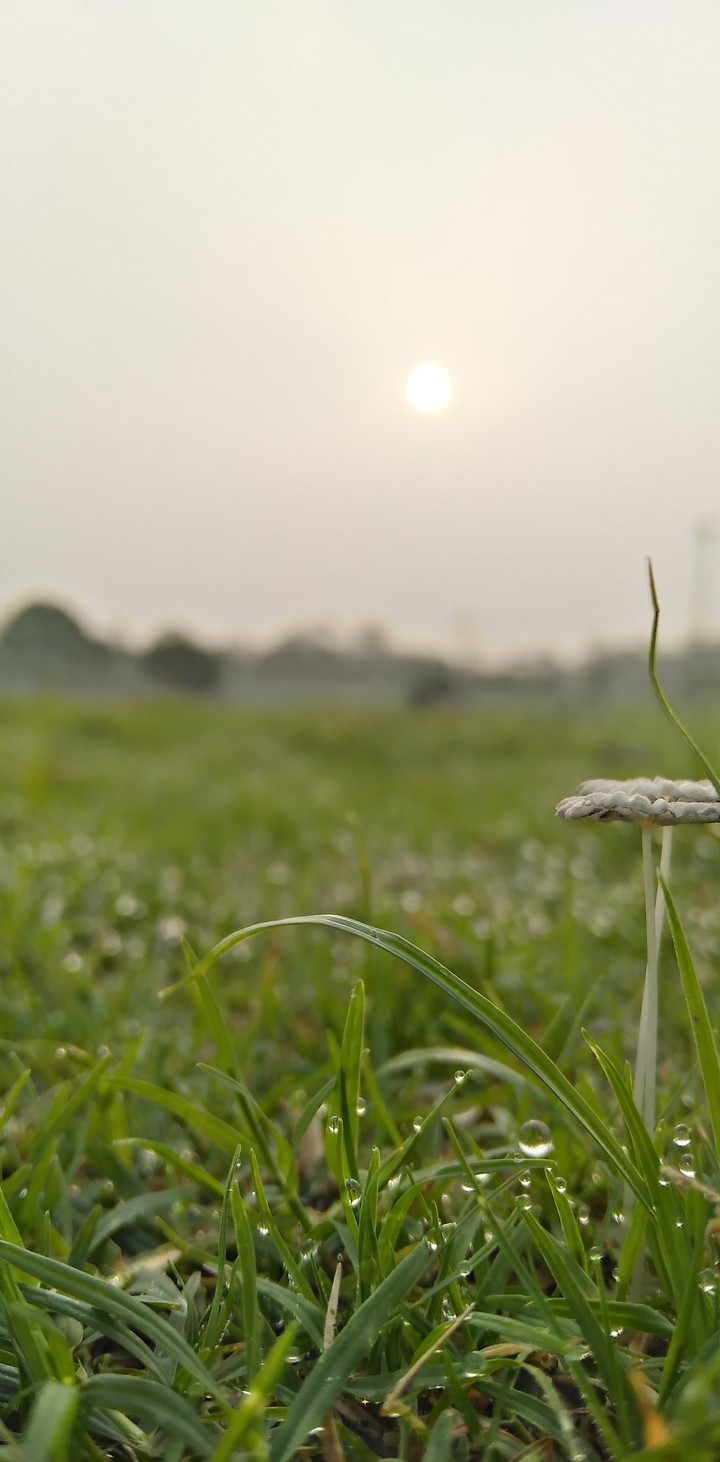 Nature