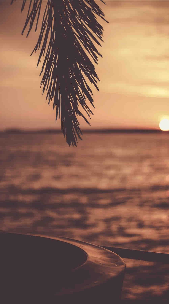 beach vibes