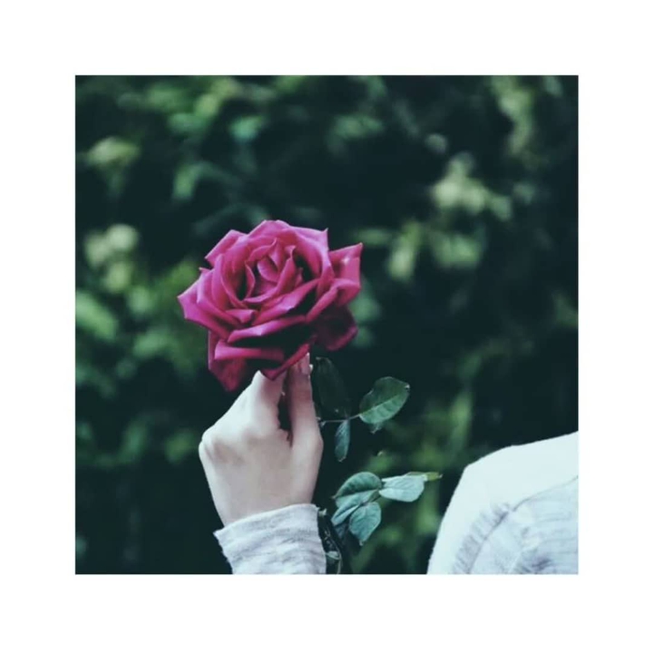 love. pink