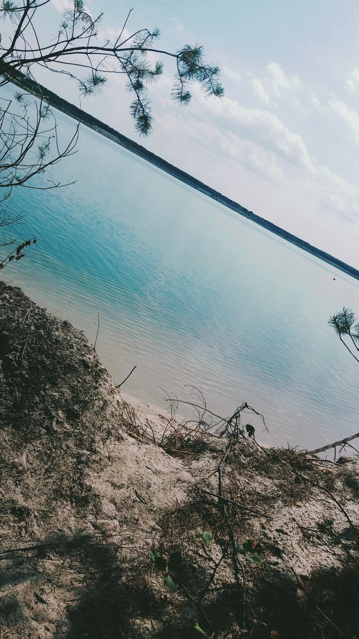 partwitzer see/germany