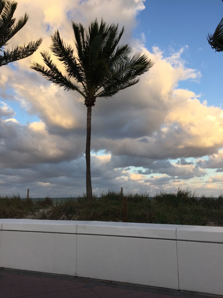 A windy day