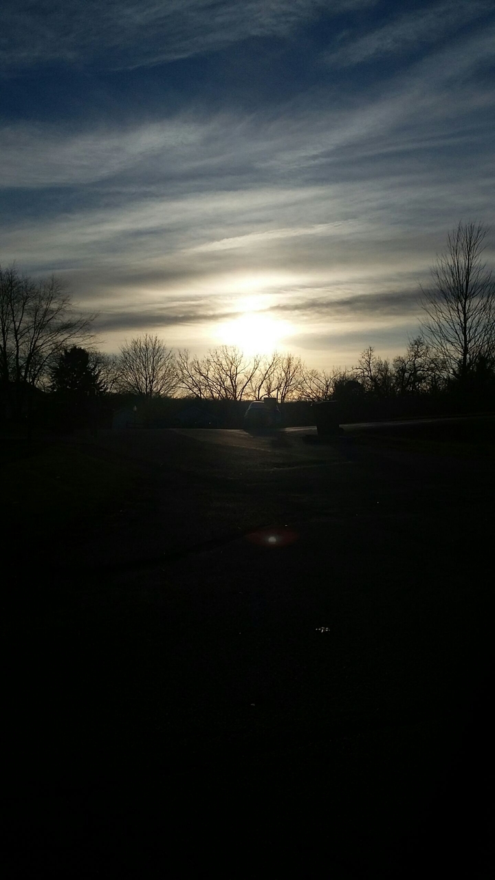 sunny