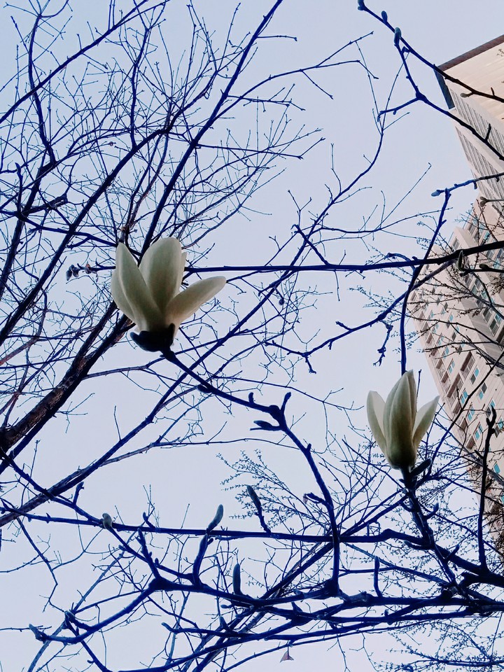 봄