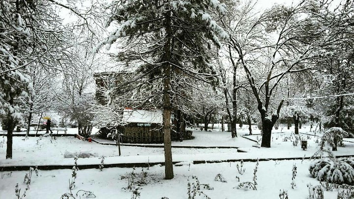 Sungurlu Şehir Parkı