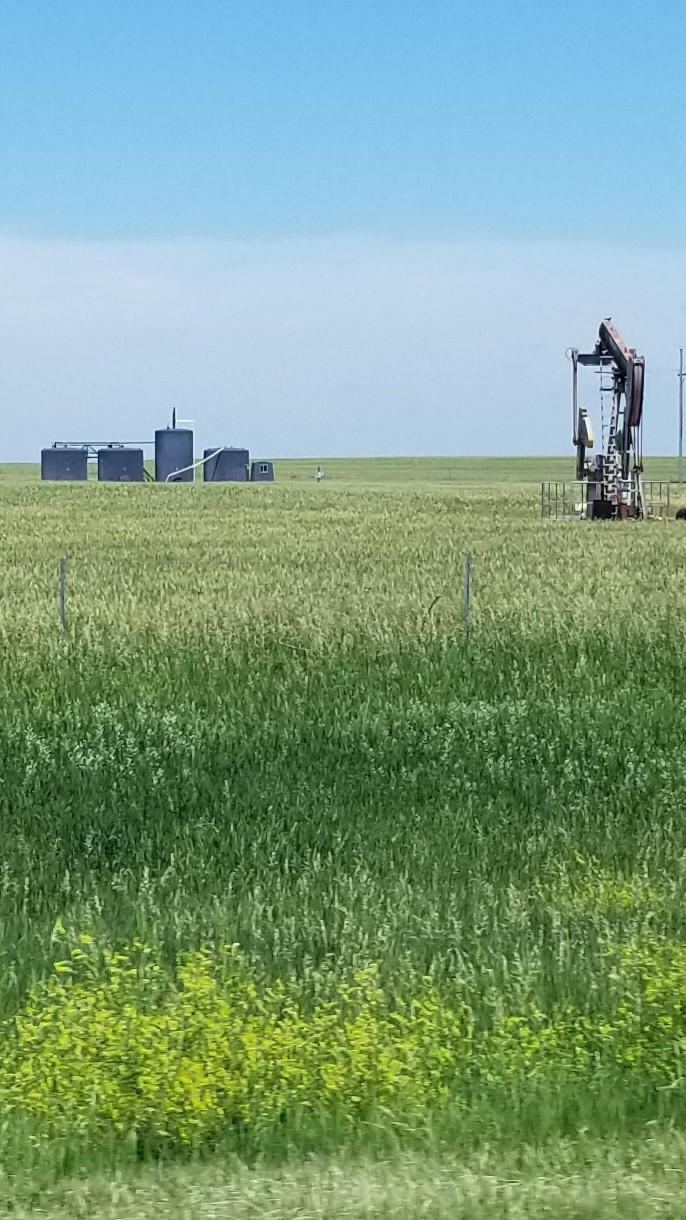 Oil Field