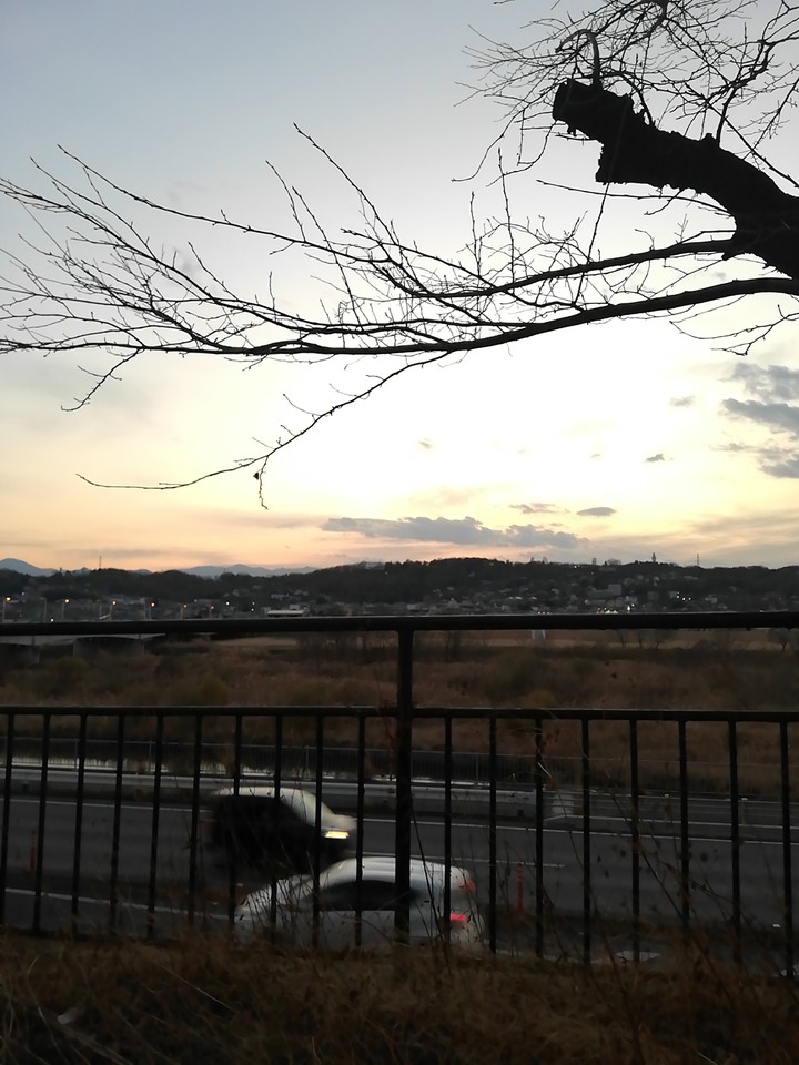 夕景