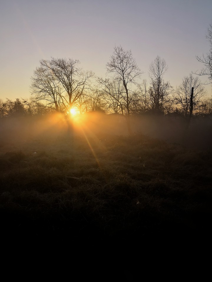 Morning Light