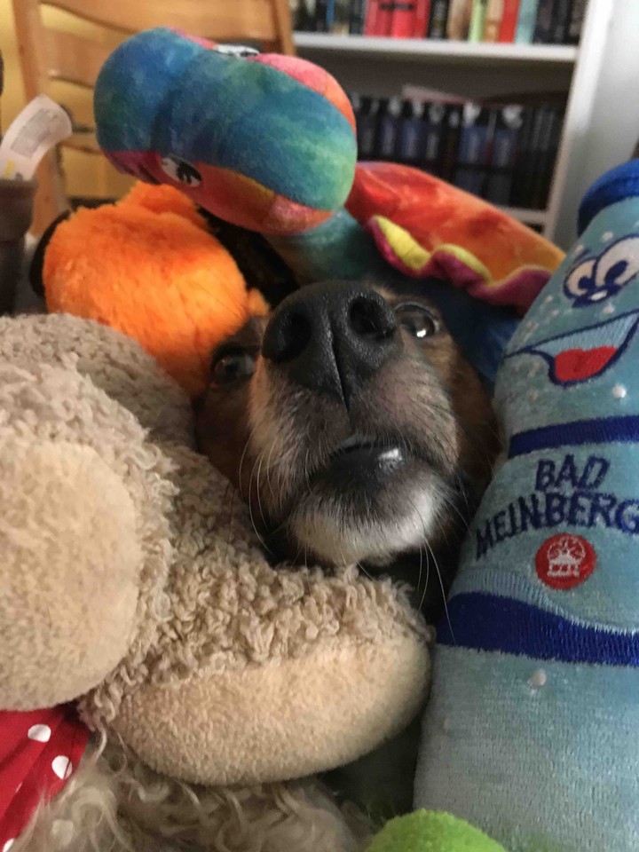 Suchbild