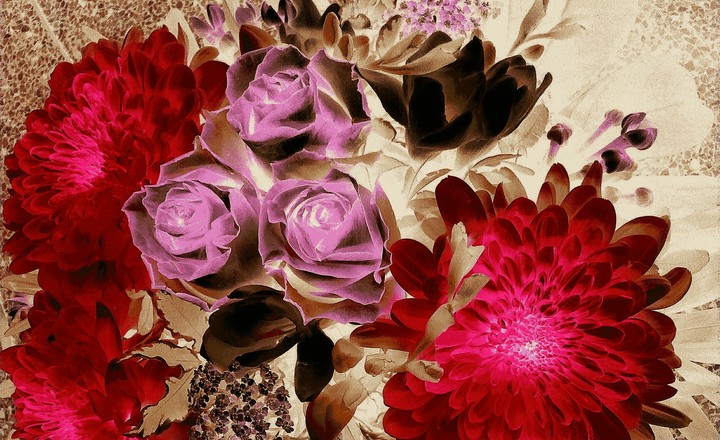 Pink glow Flower