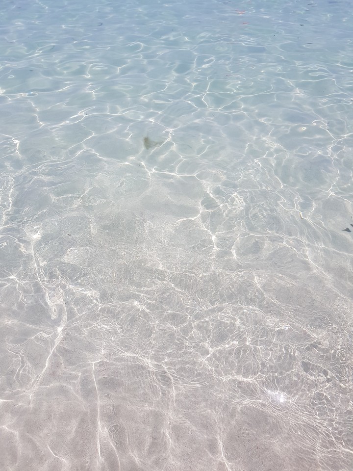 Water